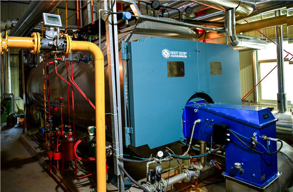 十五噸鍋爐多少錢(qián)