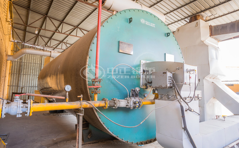 10t燃?xì)忮仩t設(shè)備客戶案例圖片