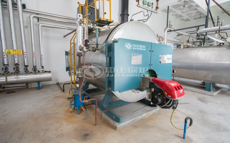 10萬(wàn)平米燃?xì)忮仩t客戶案例圖片