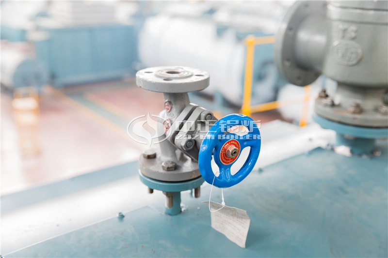 10T燃?xì)庹羝仩t大廠