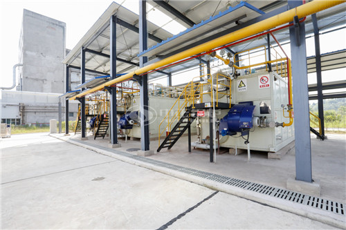 DHL燃?xì)庹羝仩t出廠價