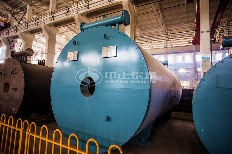 10T燃?xì)庹羝仩t多貴