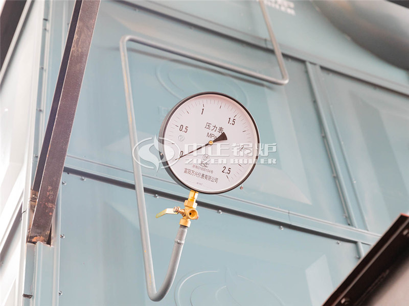 SHX燃?xì)庹羝仩t制造廠