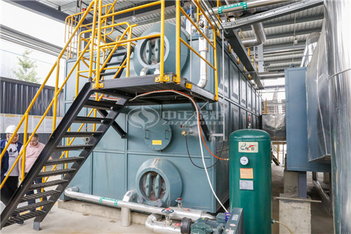 一臺10T燃?xì)鉄崴仩t低多少錢